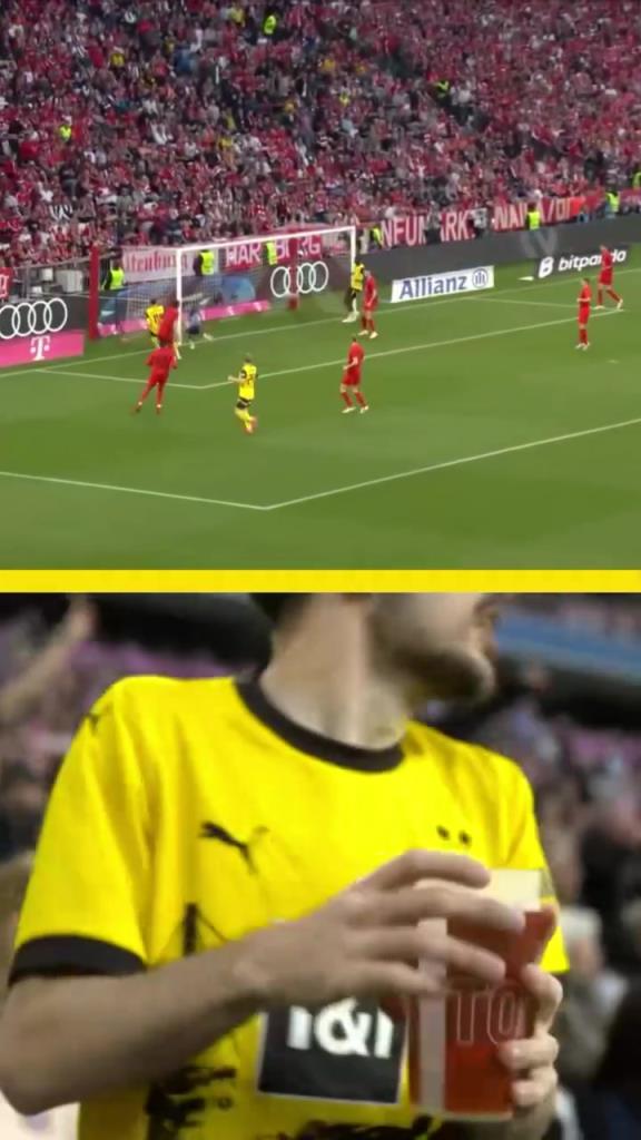 勇者無(wú)懼！這是真多特球迷！在拜仁球迷區(qū)一個(gè)人肆意慶祝！